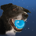 Meteorlight K-9 - LED Ball