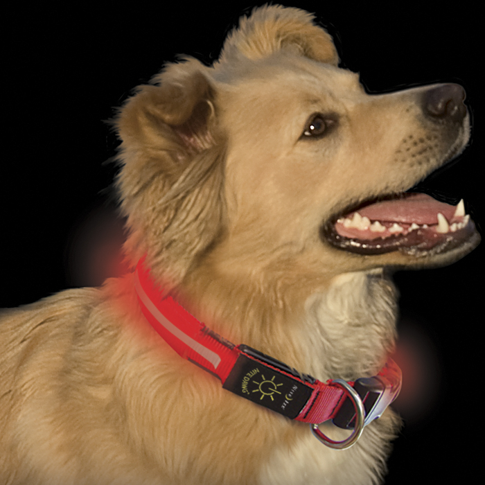 Orange LED Dog Tag for D-ring on Dog Collars